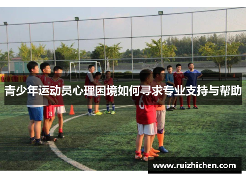青少年运动员心理困境如何寻求专业支持与帮助